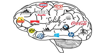 上海品牌策划公司 从“你是谁”到“你想处于什么位置”——品牌战略与市场营销策划的核心路径