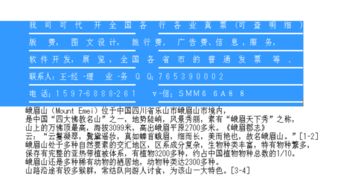 济南市场营销策划费专用增值税进项发票抬头详解